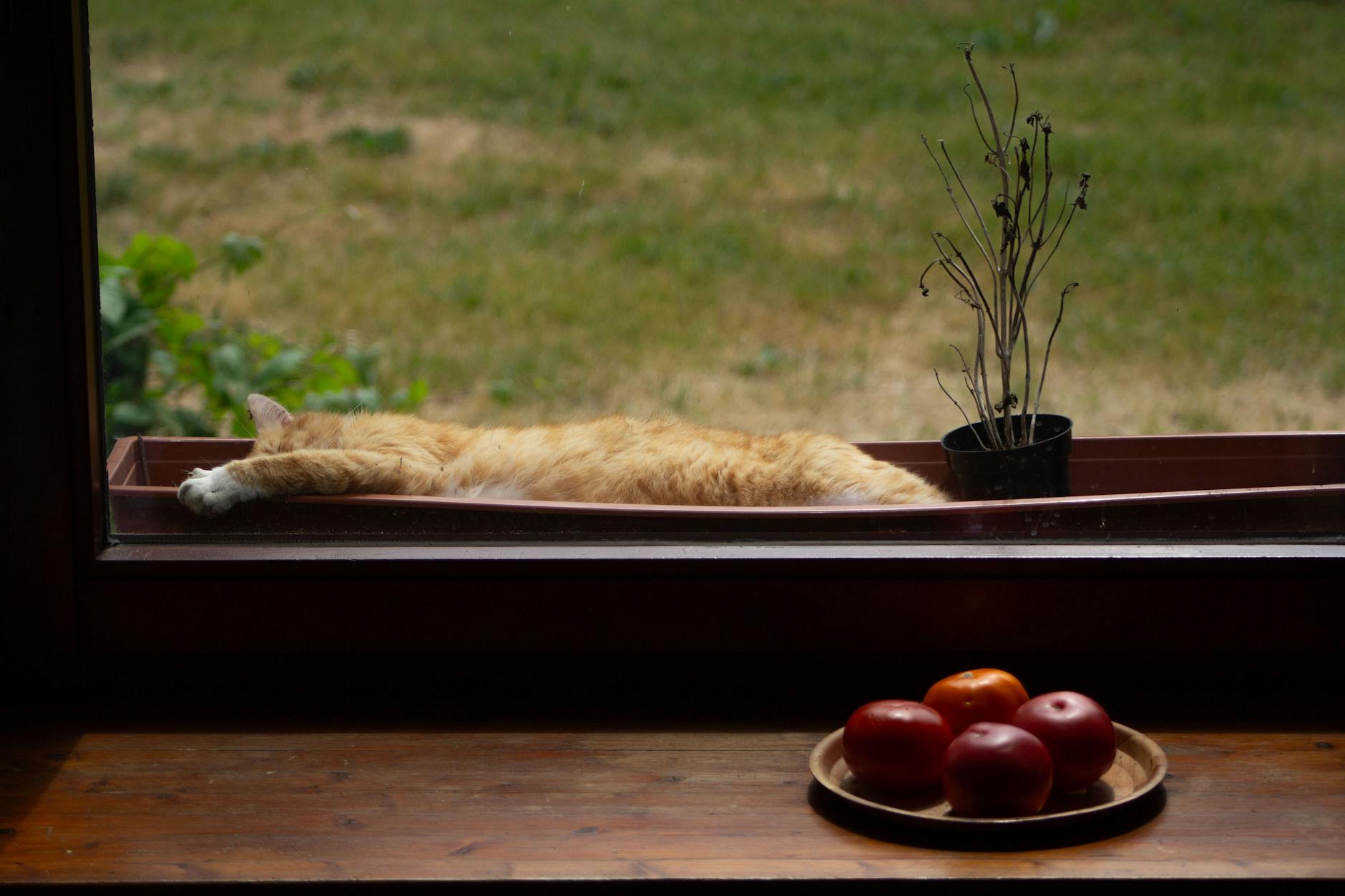 Praca w Biłgoraju: wolny etat w miejskiej spółce